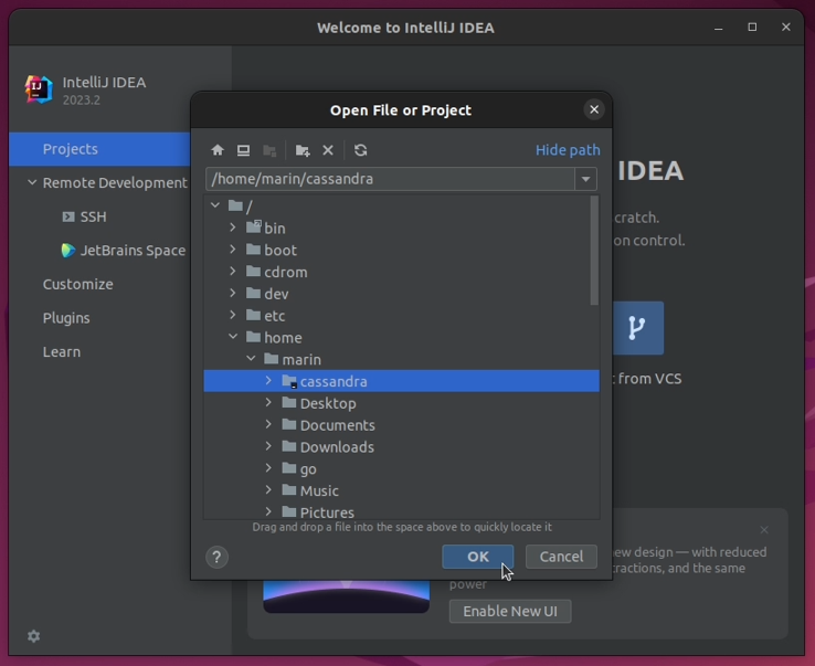 Debugging Apache Cassandra in IntelliJ IDEA