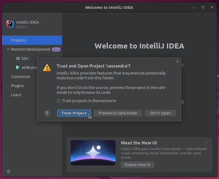 Debugging Apache Cassandra in IntelliJ IDEA